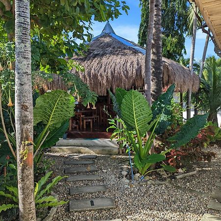 Crazy Bears Hostel Moalboal Ngoại thất bức ảnh