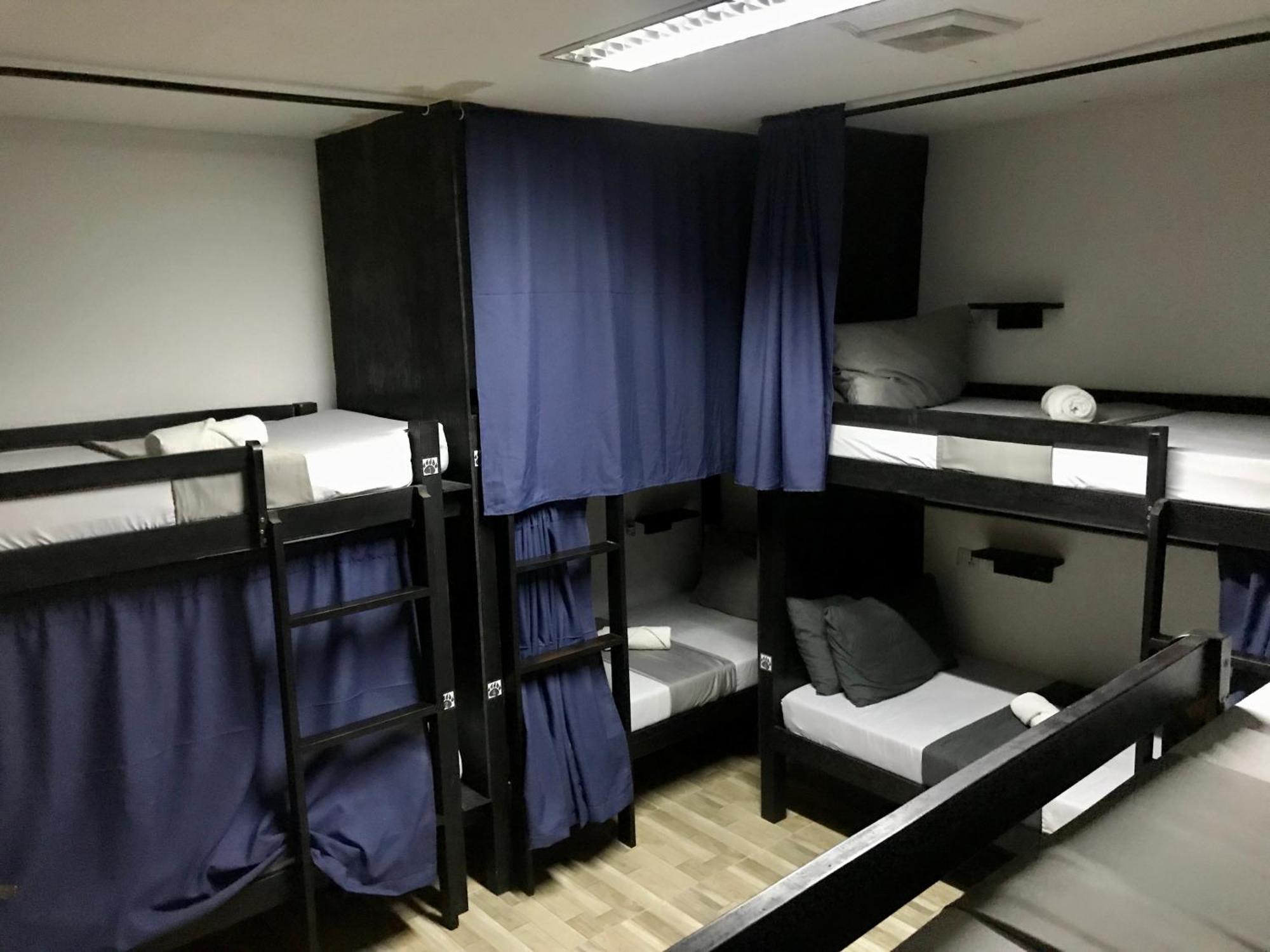 Crazy Bears Hostel Moalboal Ngoại thất bức ảnh