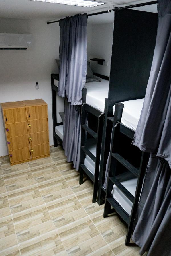 Crazy Bears Hostel Moalboal Ngoại thất bức ảnh